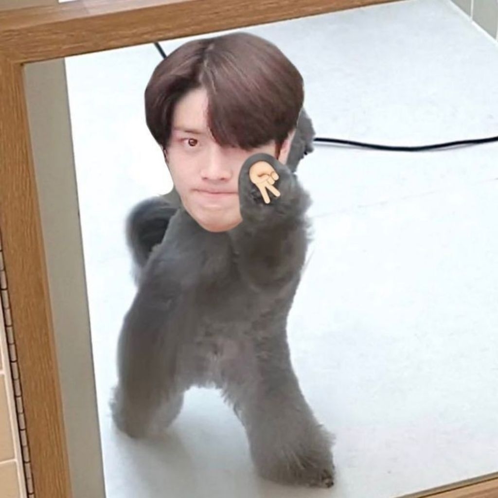 

kertas ganteng warna warni