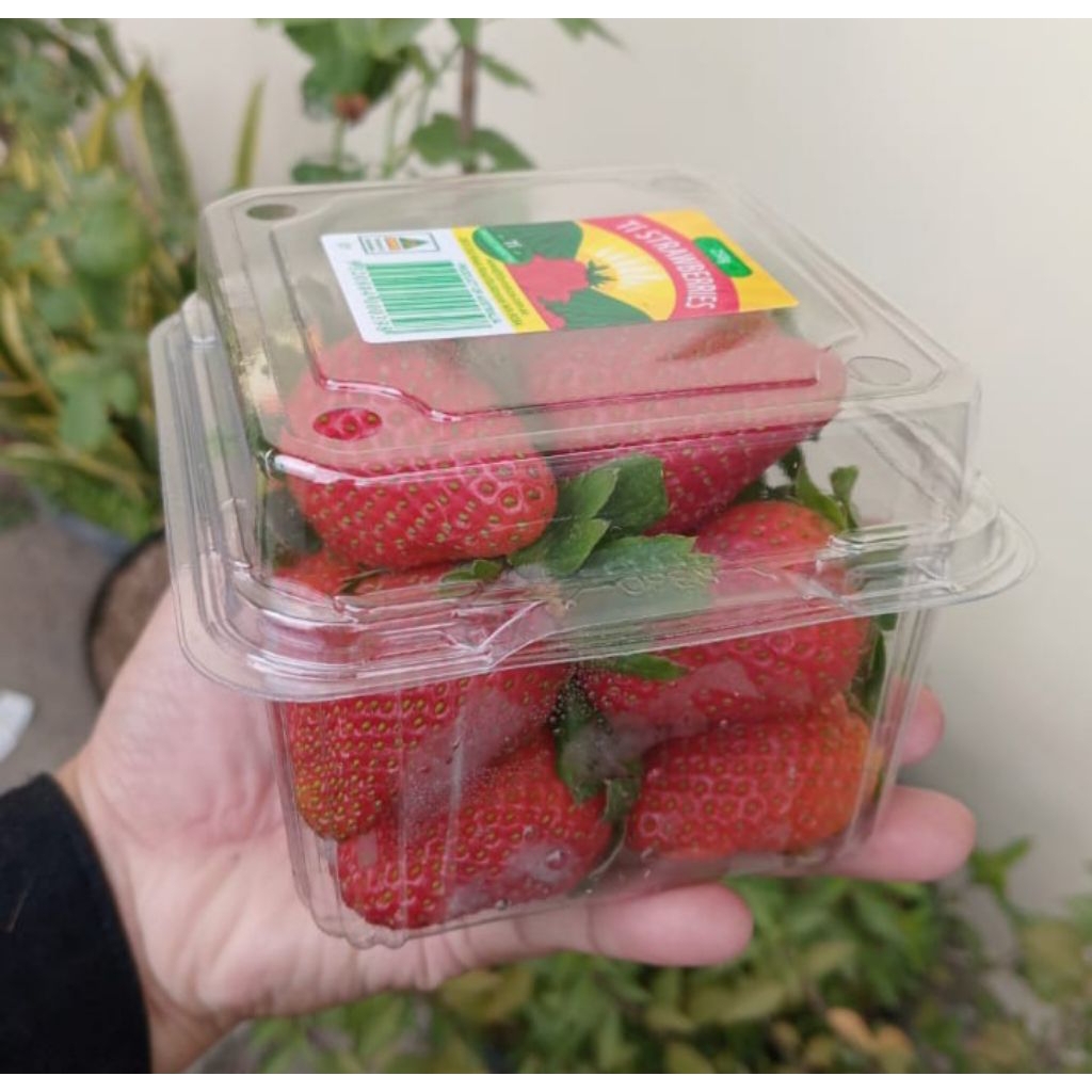 

Strawberry Aussy 250gr per pack, Ready Stock Delivery Jogja