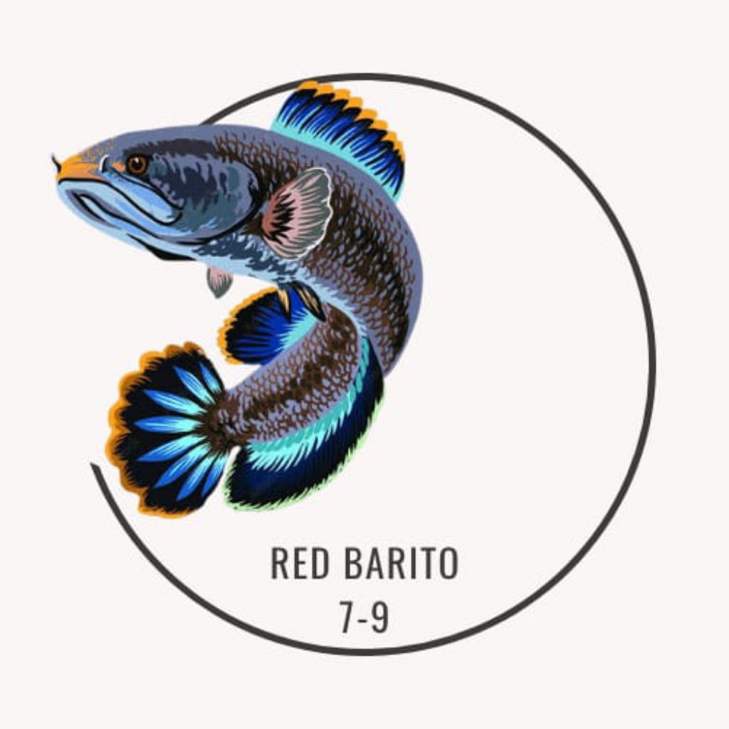 stiker red Barito 7-9 cm bar rapi makan pelet