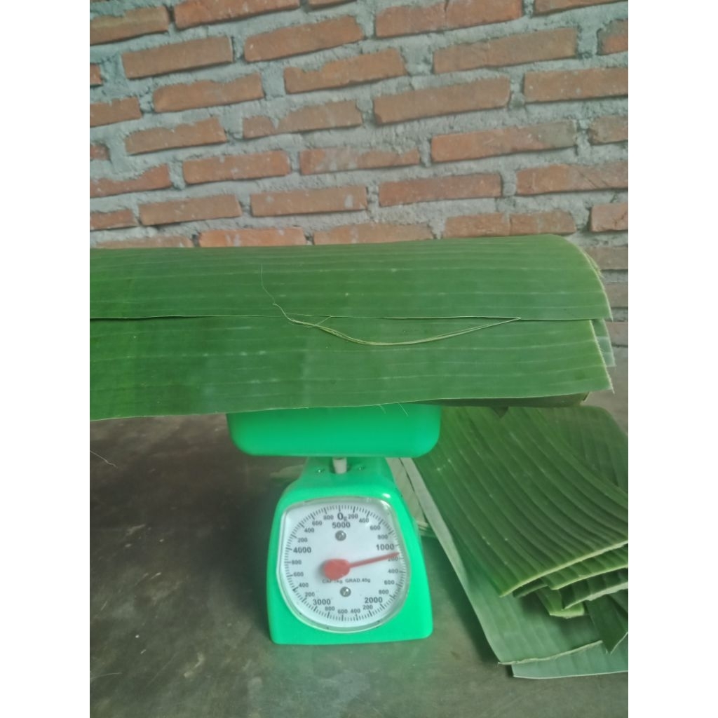 

Daun pisang kapok 1kg