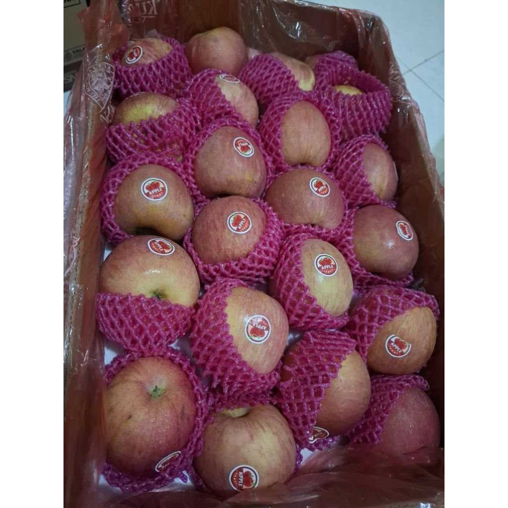 

APEL FUJI FRESH KHUSUS JATIM