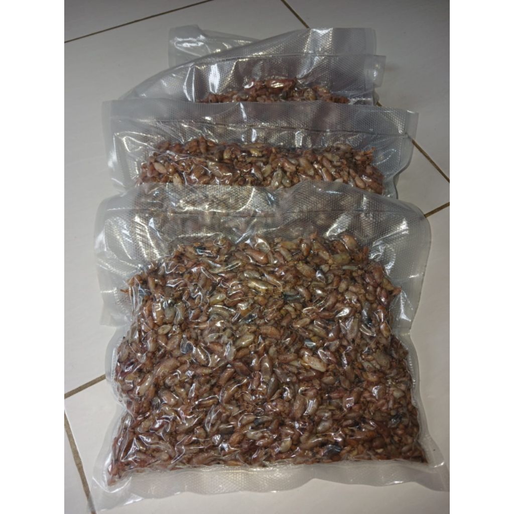 

cumi baby ukuran 0,5-3cm|cumi asin kering| seafood frozen berat 1kg