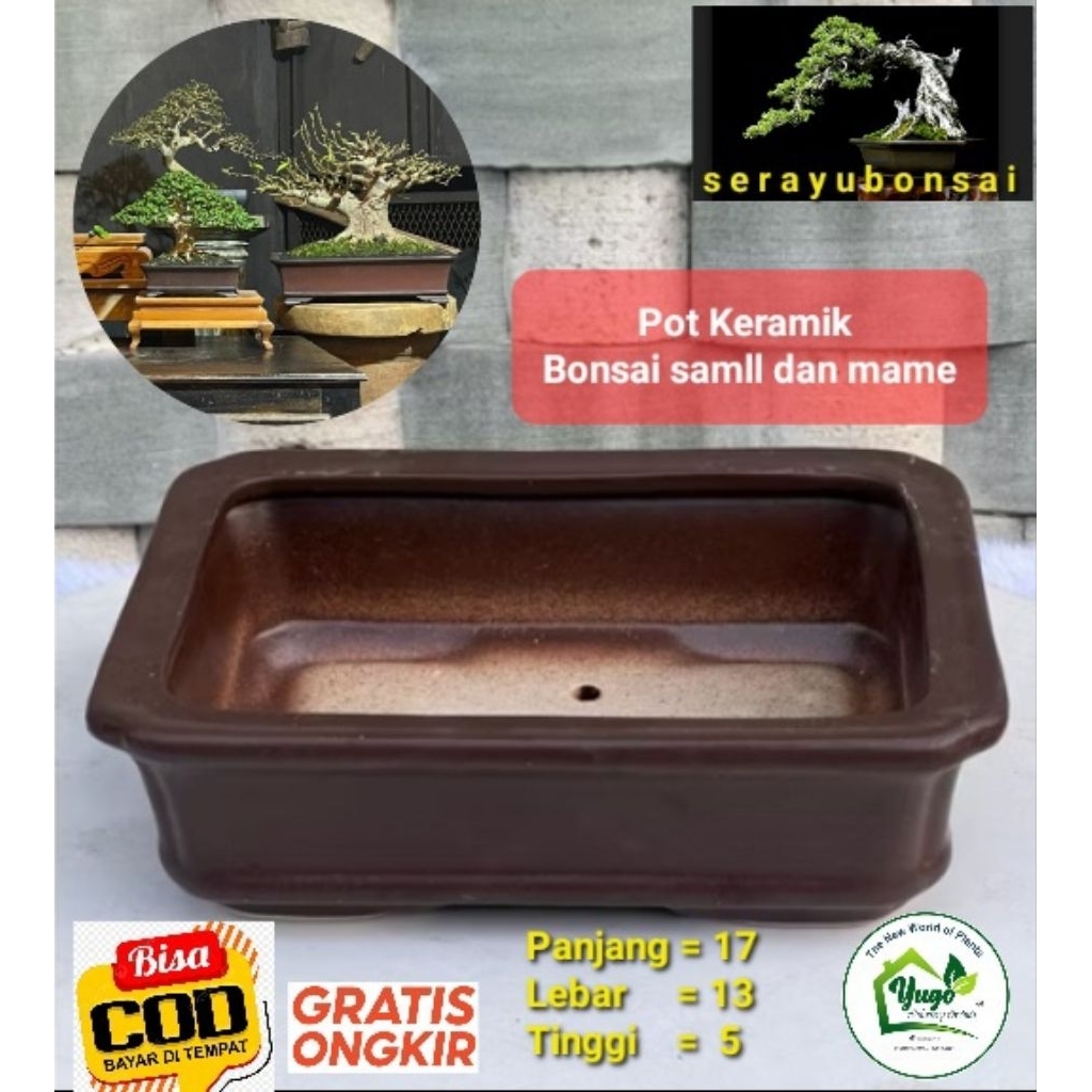 Pot Keramik Bonsai pot Import Panjang 17cm untuk bonsai samall dan mame