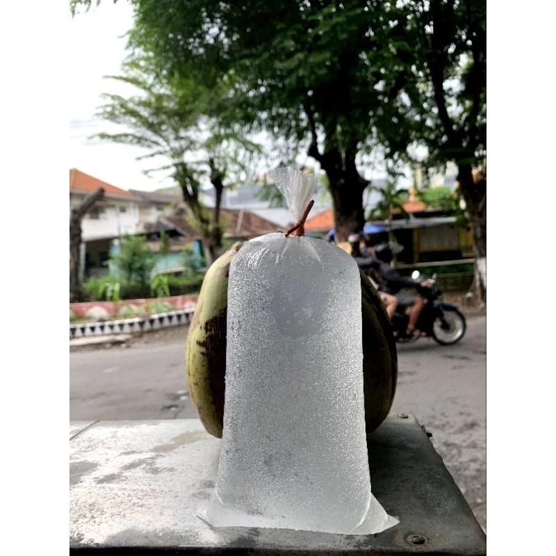 

AIR Kelapa Muda (Degan) Fresh 1 Liter