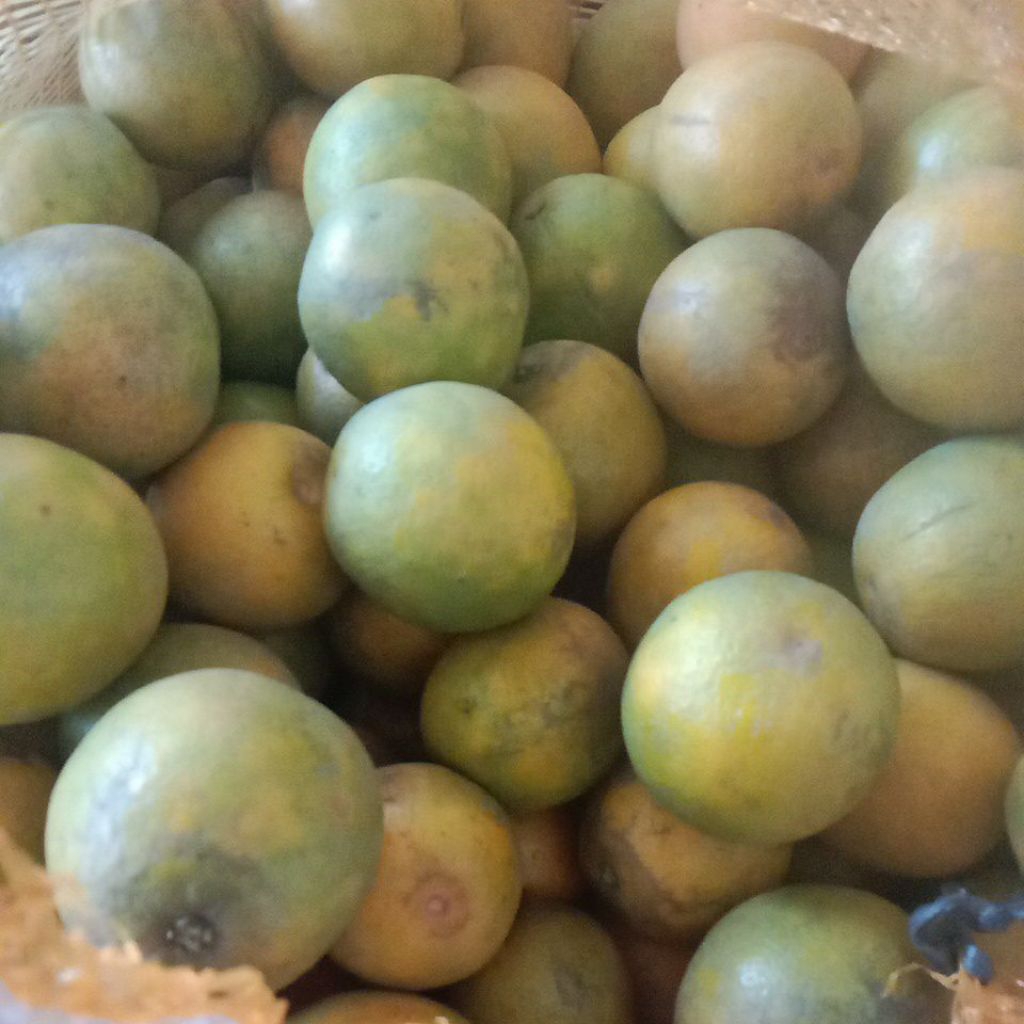 

Promo - Jeruk Baby Chery/Mini Fresh 1Kg (isi 9-12 buah)