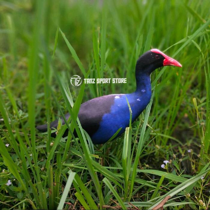 Dekoy boneka jontrot mandar biru - mainan burung mandar besar