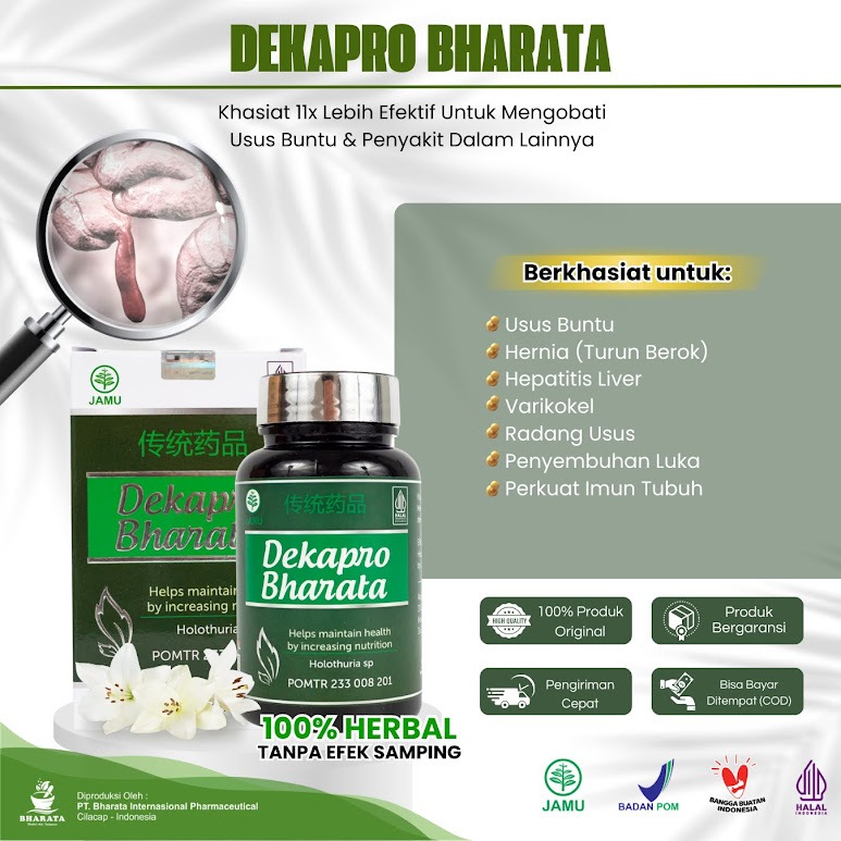 Dekapro Baharata - Dekapro Barata Original - Dekapro Bharata - Dekapro Barata - Dekapro - Obat Dekap