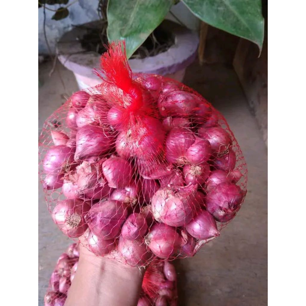 

bawang merah 500g