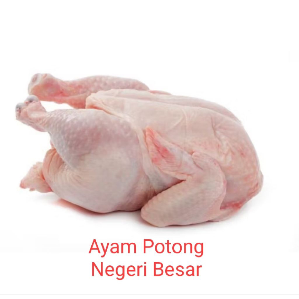 

AYAM NEGERI UTUH 1 EKOR