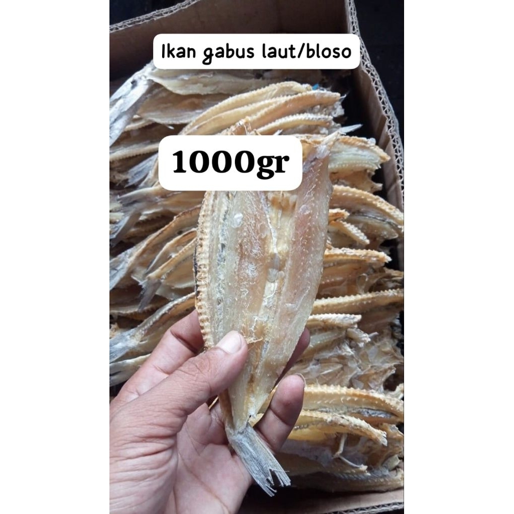 

ikan Bloso/gabus khas Madura