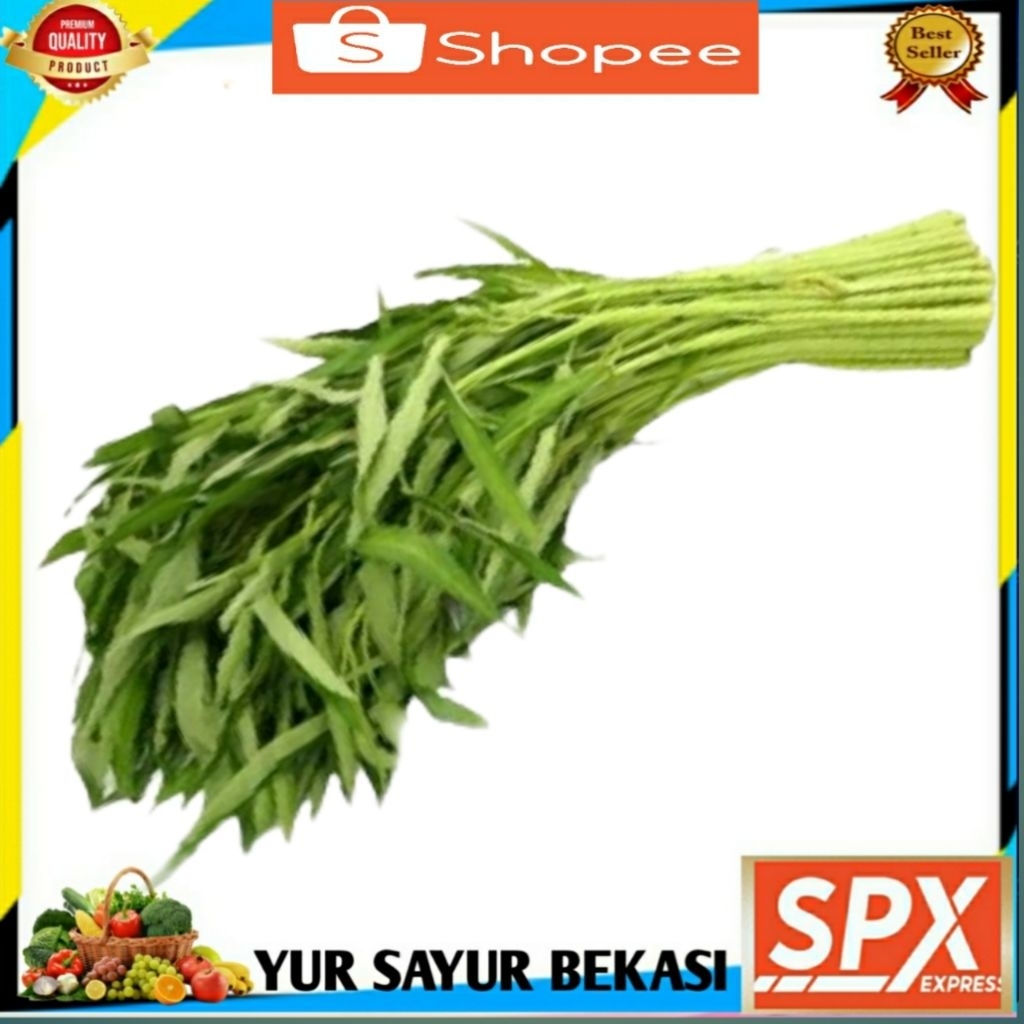 

Kangkung 1 ikat Besar.