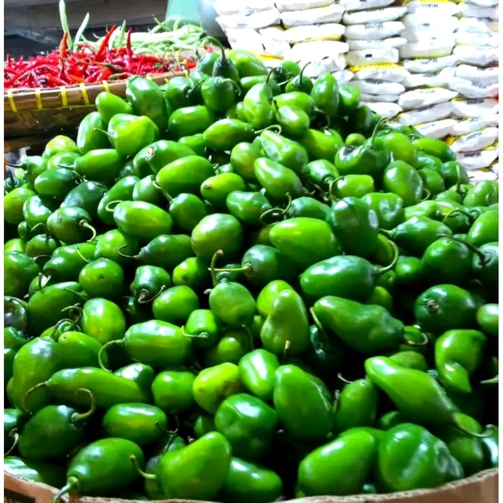 

Cabe Gendot Segar Isi 1kg paket hemat buah/sayuran cabe gendot segar toraja