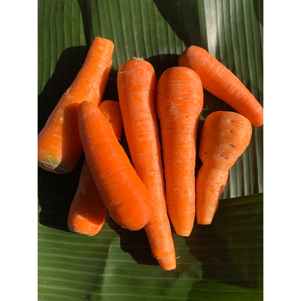 

Wortel Super 500gr-1kg