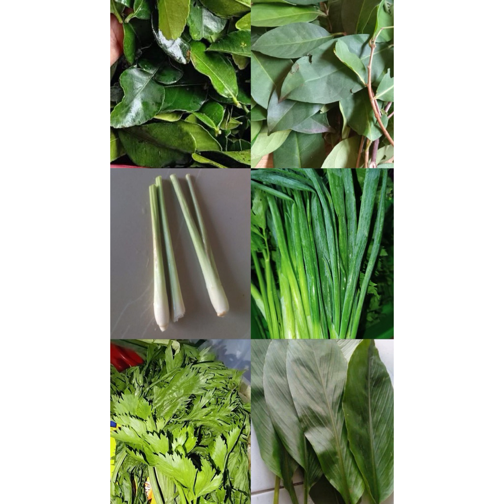 

Daun Kunyit,daun salam,daun serai, daun bawang,daun kemangi dll Rp 3000