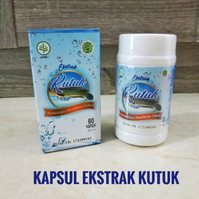 Ekstrak Kutuk JNH 60 Kapsul - Kapsul Kutuk Premium Asli 100% Original - Kapsul Ikan Gabus