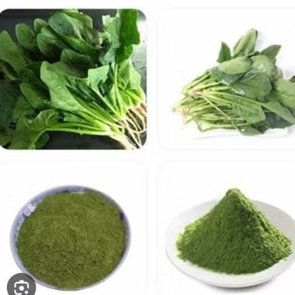 

Bubuk daun bayam 100%. MURNI