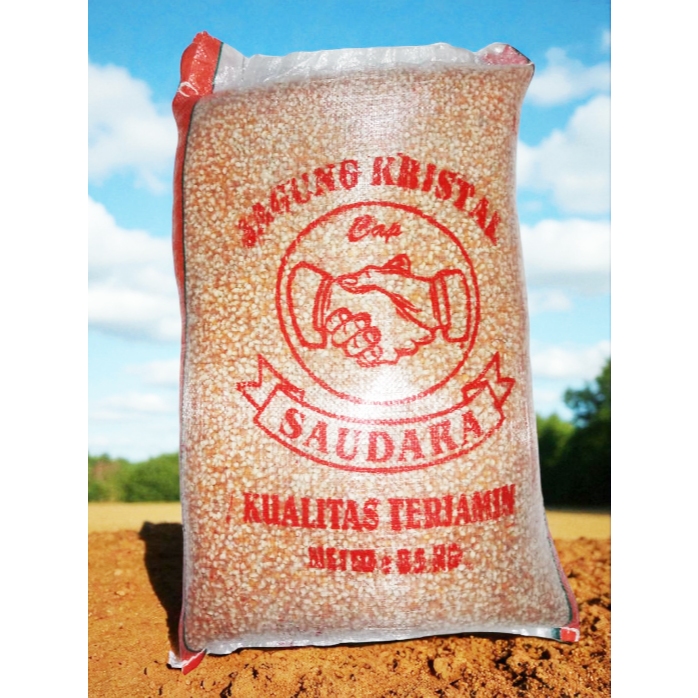Jagung Merpati Kelas Premium Cililin, Saudara,Cinta,JOss 1 sak 25 kg Jagung Merpati kolong