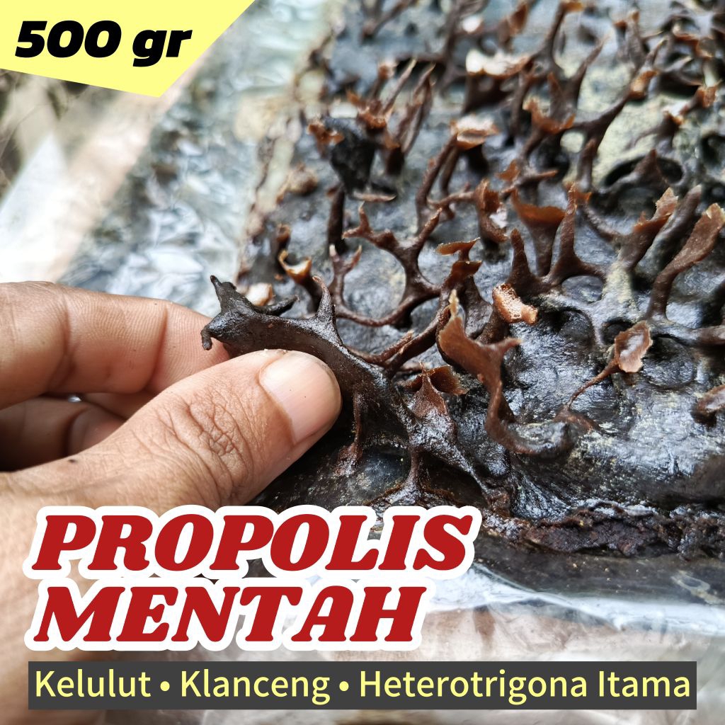 Propolis Mentah Trigona Itama (0.5Kg) Murni 100% dari Sarang Hutan Kalimantan