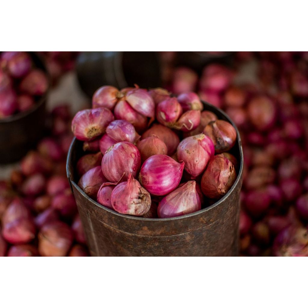 

Bawang Merah Segar Termurah 1kg