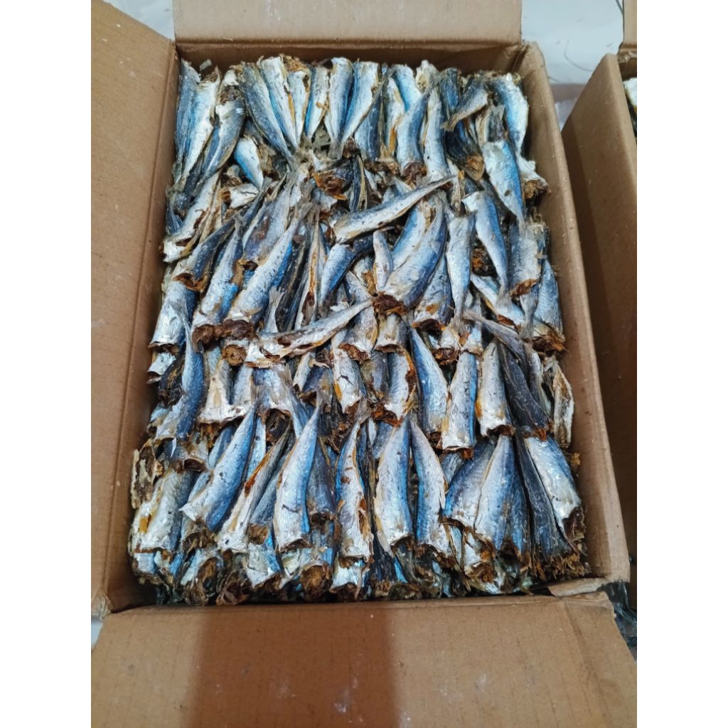 

PROMO IKAN ASIN LAYANG REBUS PK SUPER TERMURAH