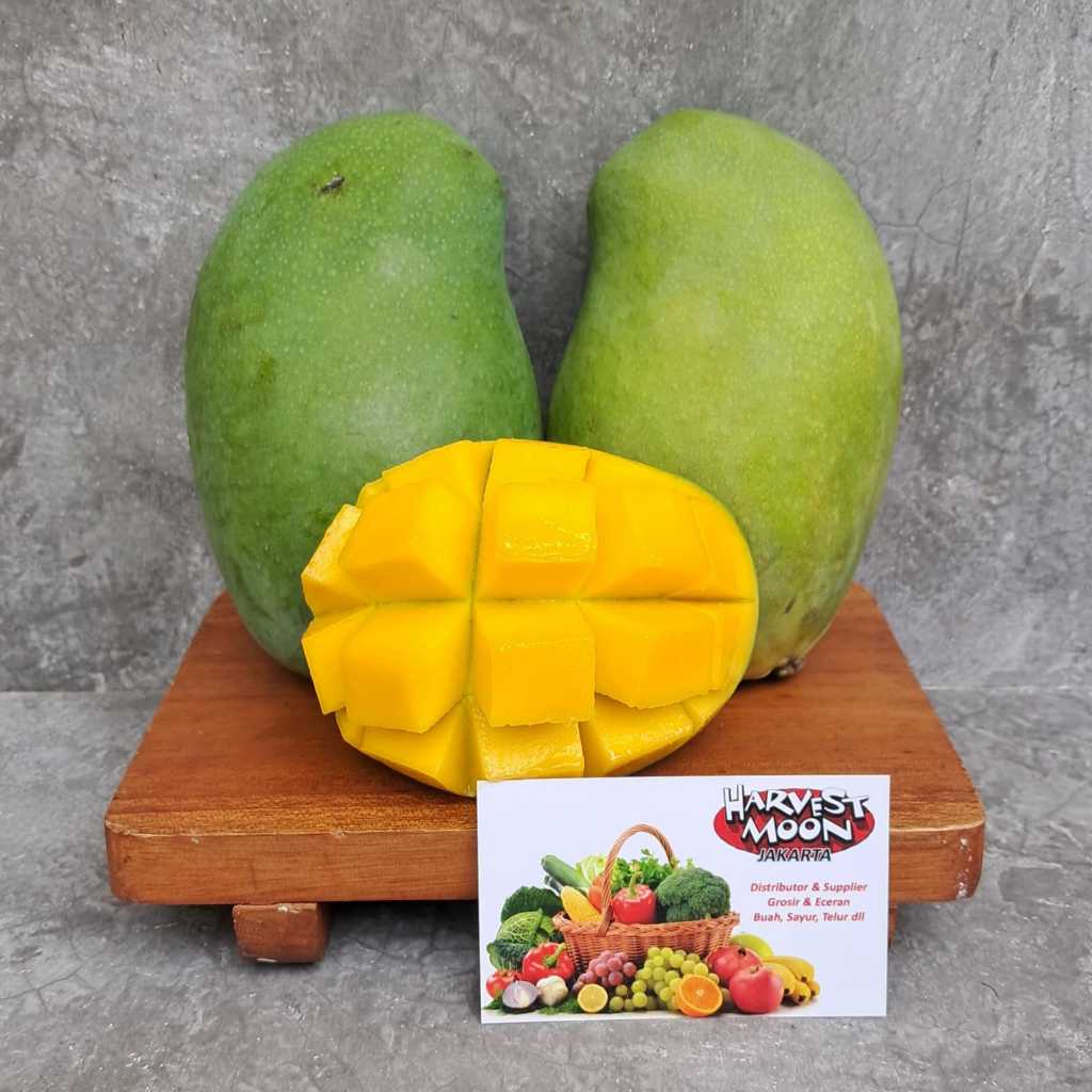 

HarvestMoon Mangga Alpukat Harum Manis Avomango Klonal Per Dus