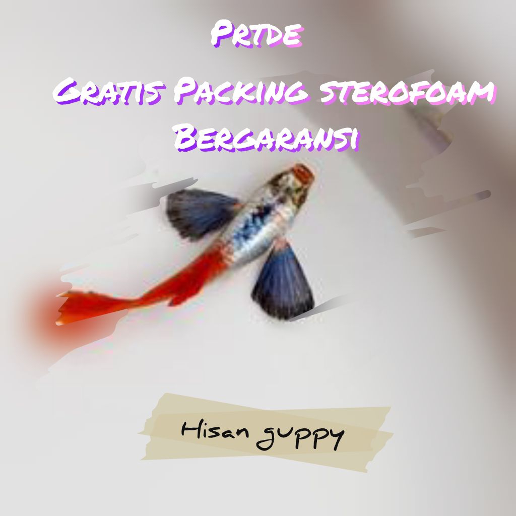 plastik Guppy prtde hm