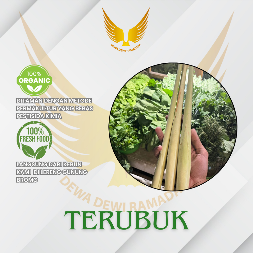 

Terubuk Organik Dewa Dewi Rama Daya