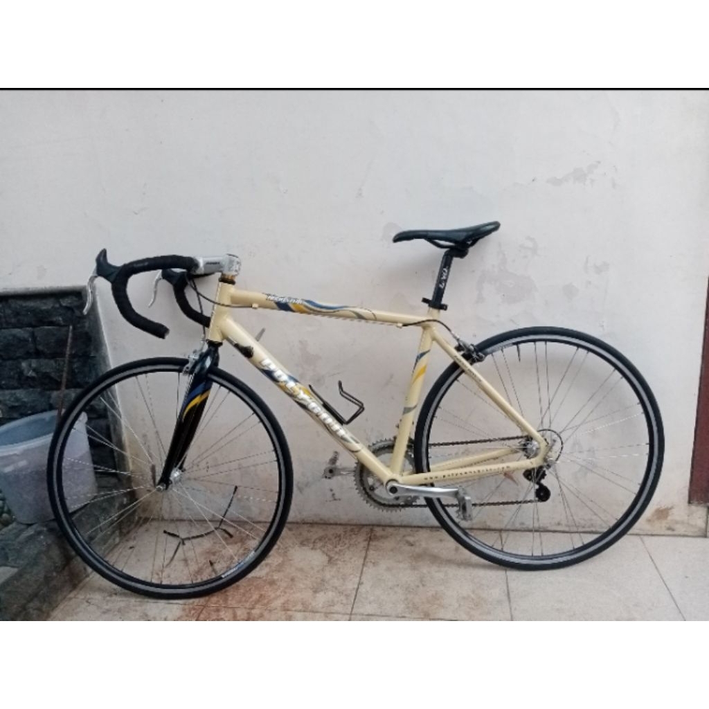 Polygon Roadster roadbike