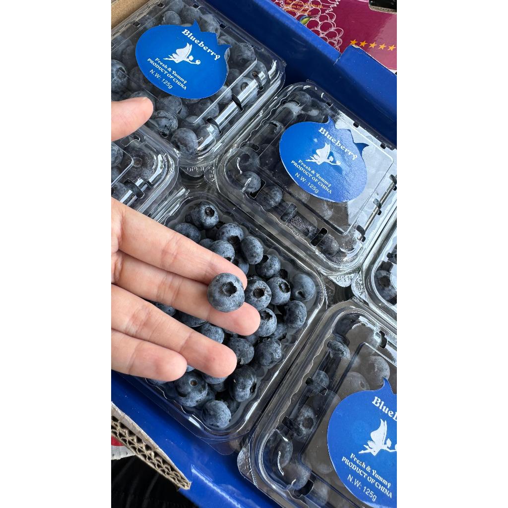 

Blueberry China (Pack)