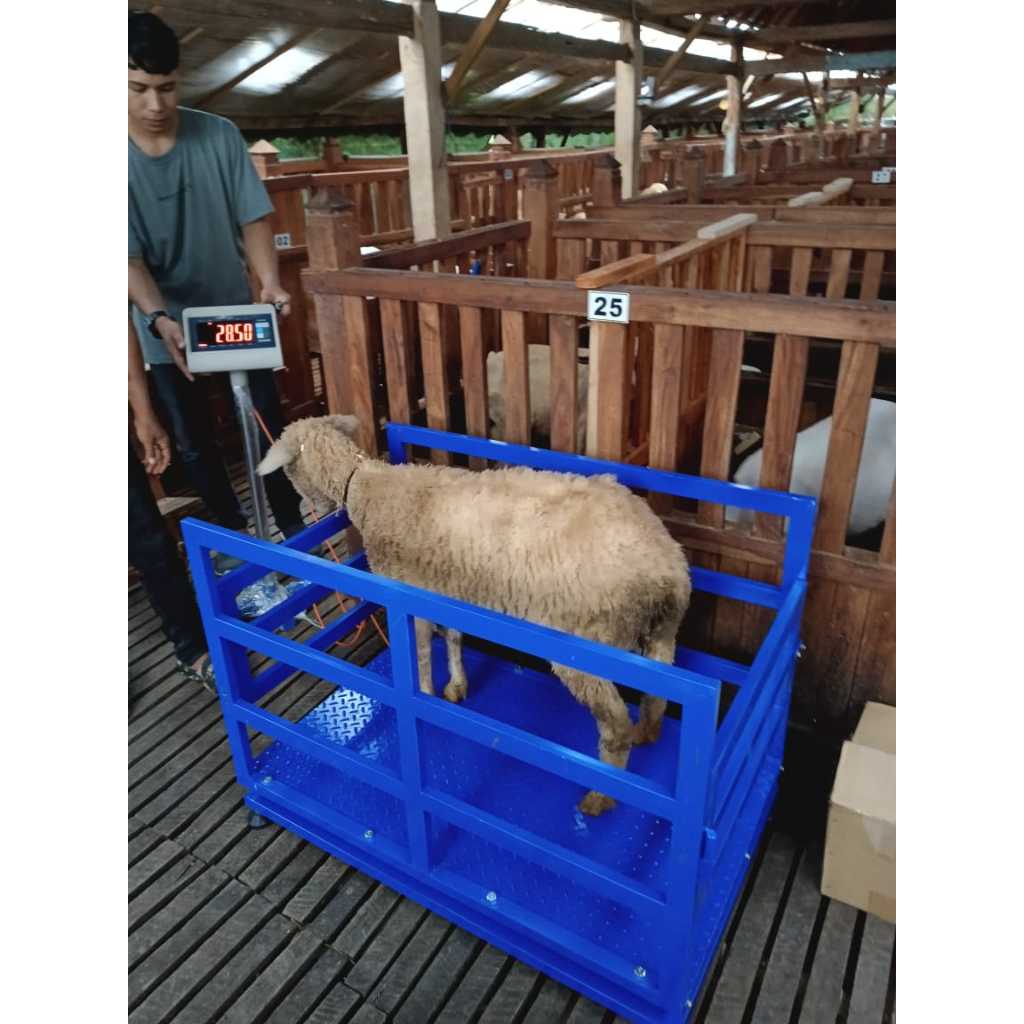 Timbangan Domba Sonic NI-7 Hold Kapasitas 500kg Timbangan Kambing Hewan Ternak Ada Pagar Kerangkeng