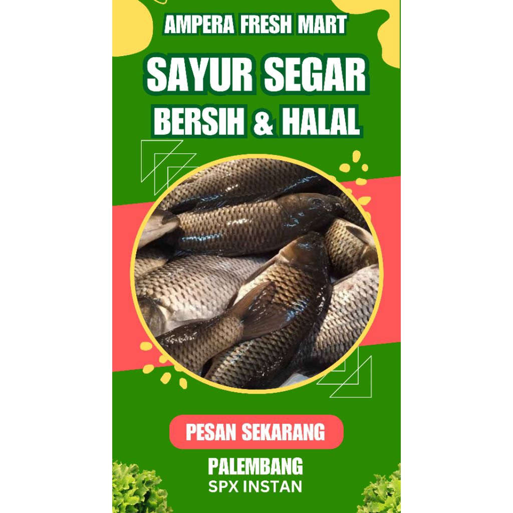 

IKAN MAS - INSTAN PALEMBANG