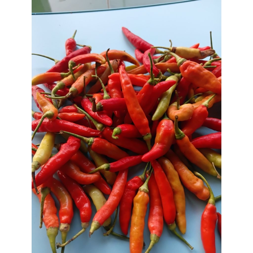 

Cabe Rawit Fresh Petani 1kg