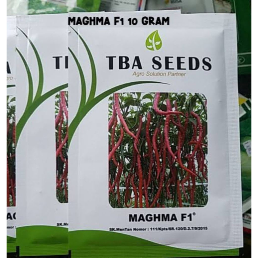 BENIH CABE MAGHMA F1 10 GRAM