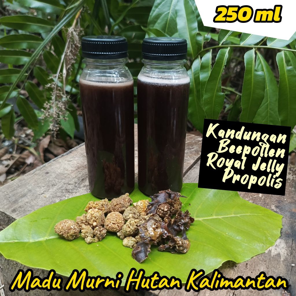 

Madu Trigona Bee Pollen Kandungan Royal Jelly dan Propolis Madu Trigona Program Hamil Untuk Kebugaran Pria dan Wanita (250ml) 100% Murni Hutan Kalimantan