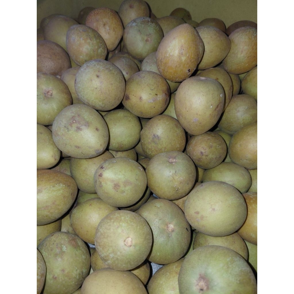 

Sawo madu di jamin manis dan segar mengkal tua 1kg