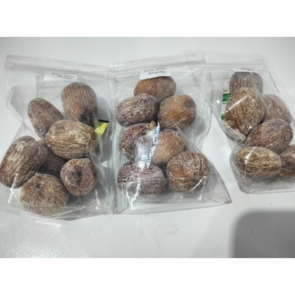 

Honey Date / Bit Co 100gr – Kurma Madu Kering Pilihan