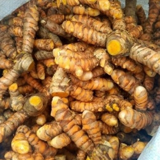 

KUNYIT SEGAR HERBAL 1 KG RASA ENAK / KUNYIT SEGAR MURAH 1 KG