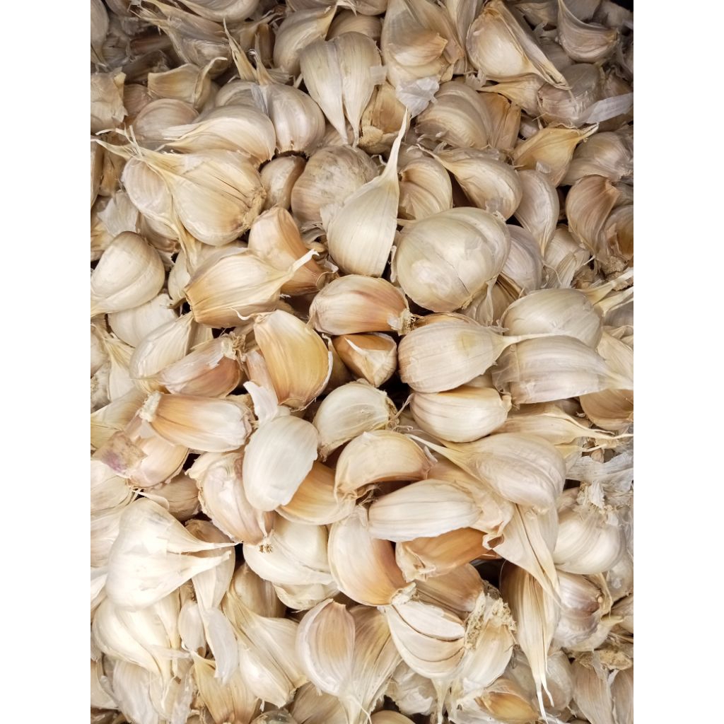 

BAWANG KATING SEGAR BERSIH 1KG