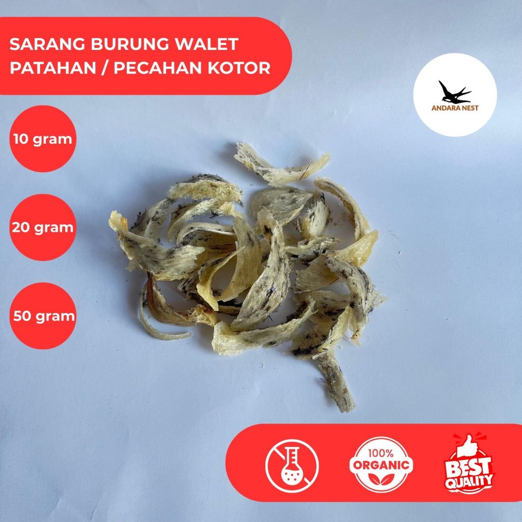 

Sarang Burung Walet / Bird Nest Patahan Kotor Berat 10 gram, 20 gram, 50 gram & 100 gram.