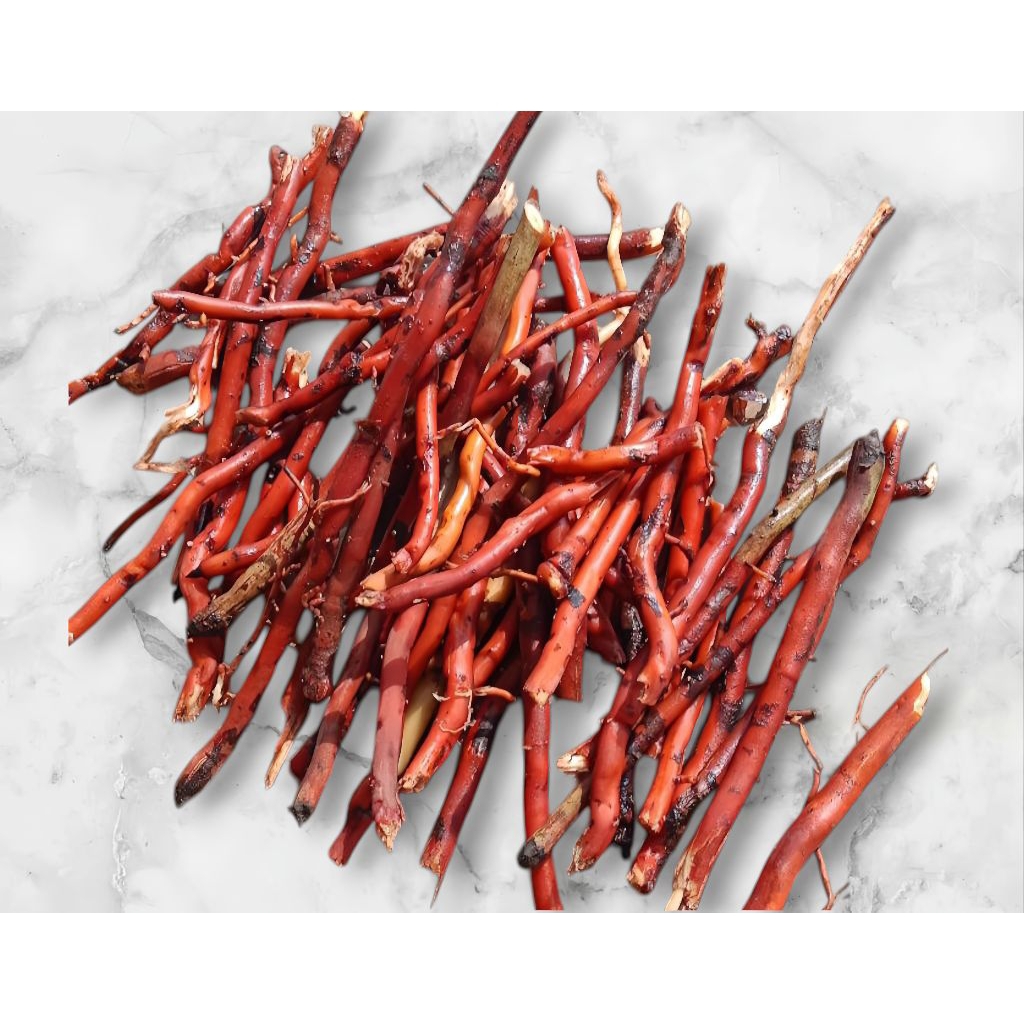 

Akar Pohon Kelapa Hijau Segar 500 Gram