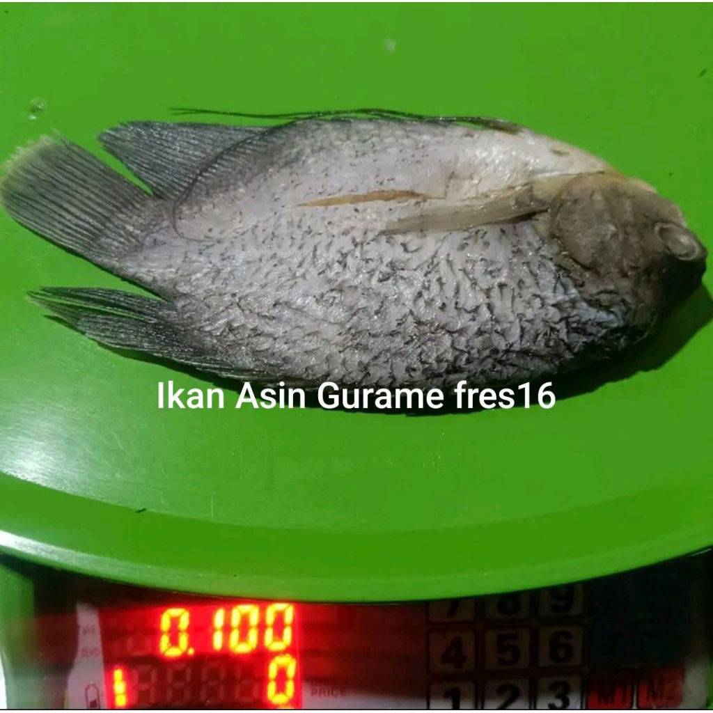

Ikan Asin Gurame Super Premium fres16