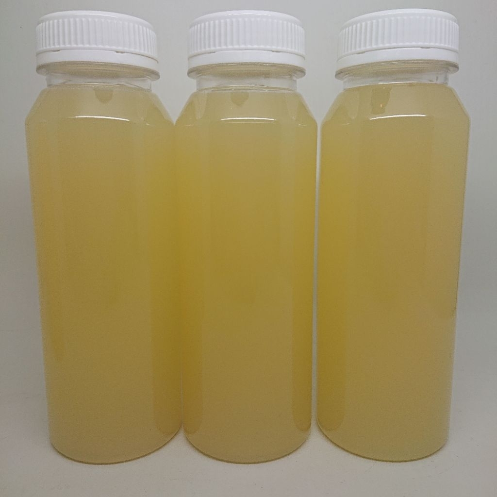 

Sari Jeruk Lemon Botol 250gr | Minuman Segar Sehat Praktis | Sari Jeruk Lemon 250gr | Minuman Sehat Segar Praktis