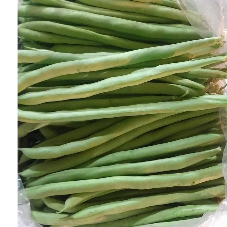 

Buncis Fresh 250 gram