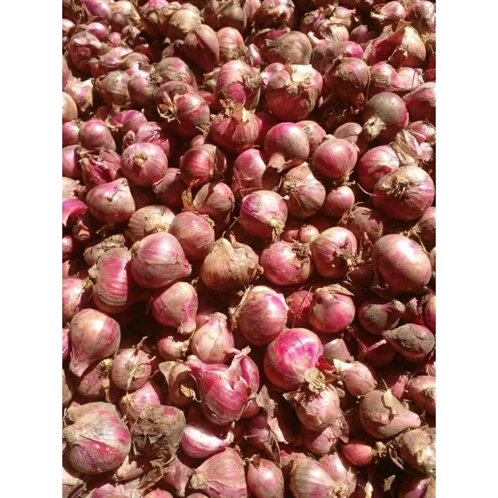 

Bawang merah 1kg