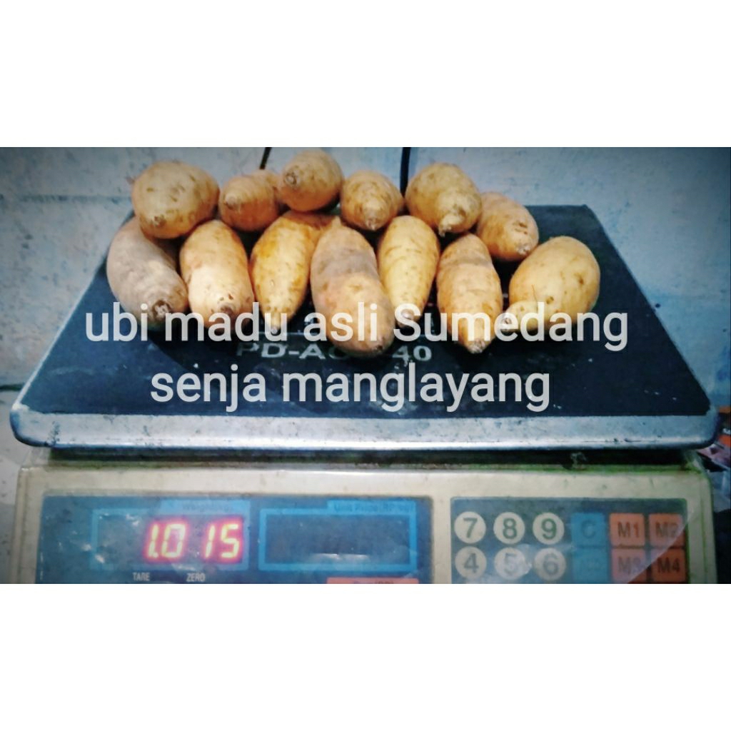 

Ubi madu Cilembu Mini 1kg isi banyak