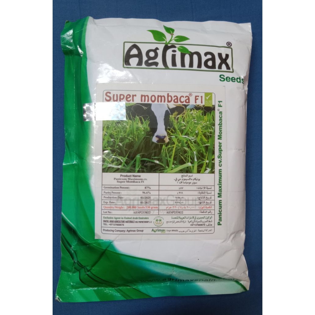 repack 1 gram biji (±700 butir) biji benih bibit super mombaca F1 mombasa ghine mombaca triple F1