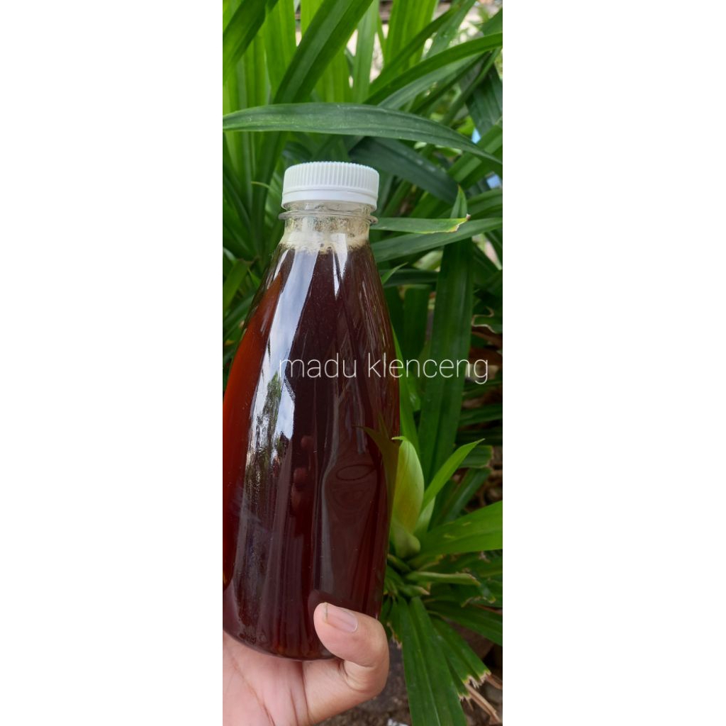 

Madu klenceng asli