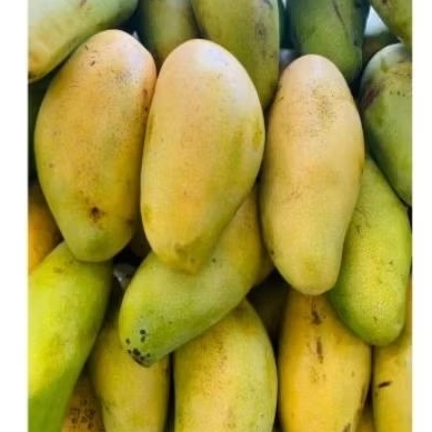 

mangga golek matang manis 1kg
