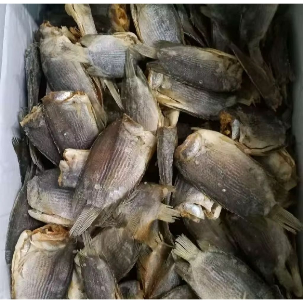 

promo ikan asin spat murah