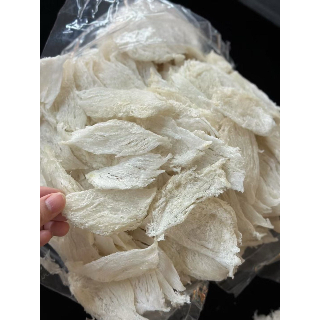 

Oriental Birdnest Sarang Burung Walet Lempengan